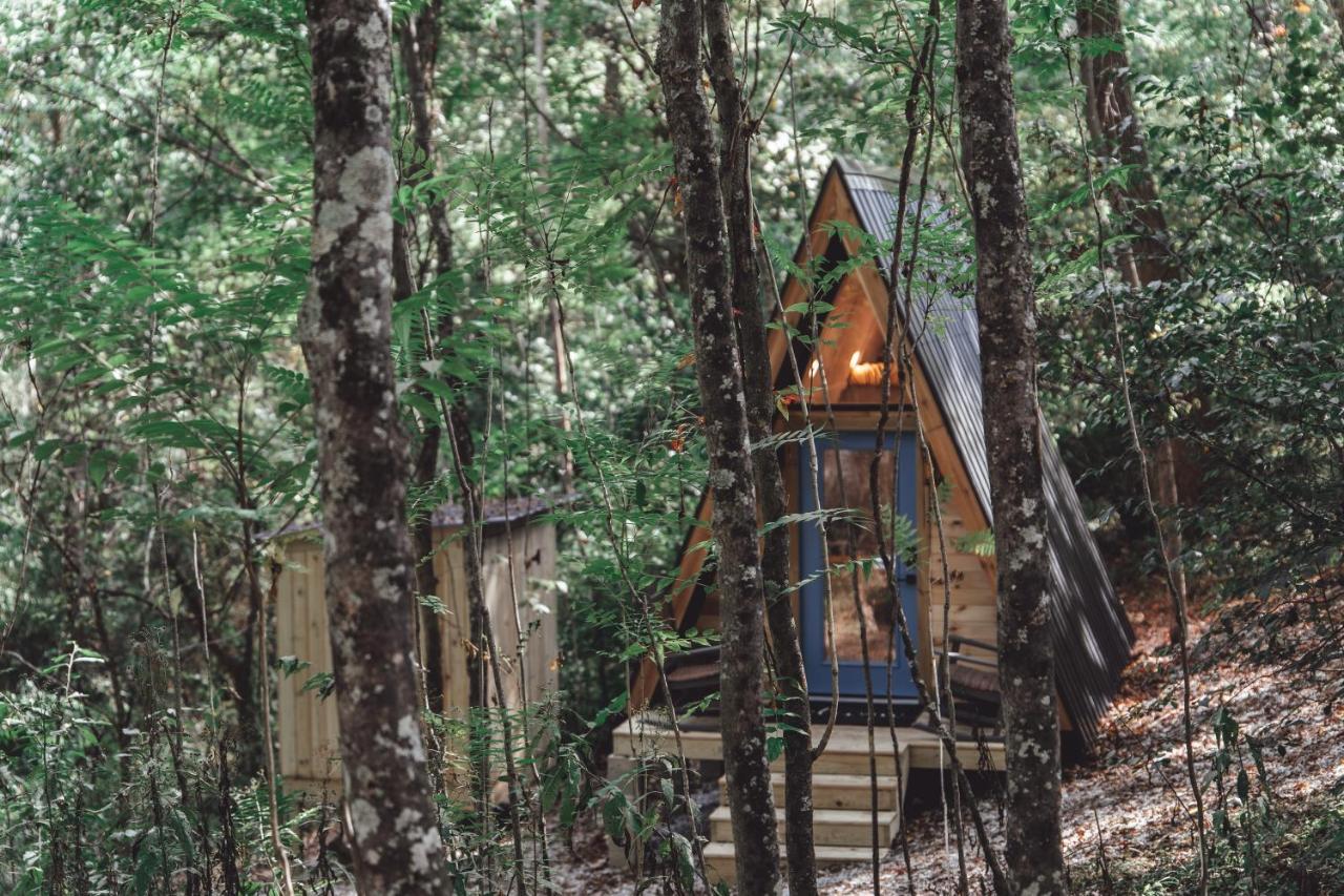 RockbridgeBlue Brambler Glamping A-Frame公寓 外观 照片