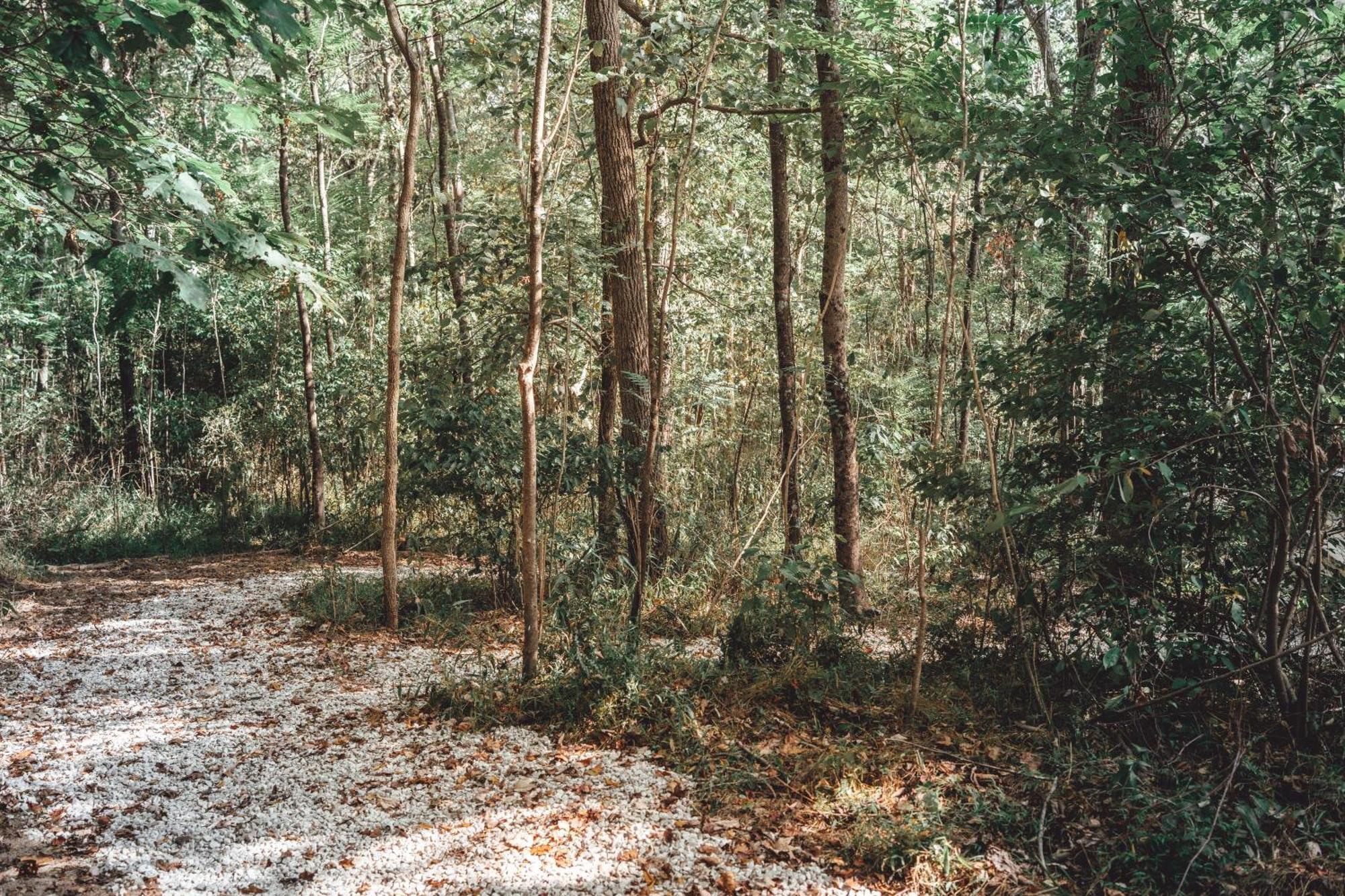 RockbridgeBlue Brambler Glamping A-Frame公寓 外观 照片